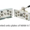 Mama Zel Plate En