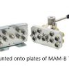 Mamb Zel Plate En